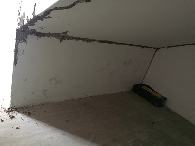 沙湾白蚁备案所：用杀虫剂能不能灭白蚁